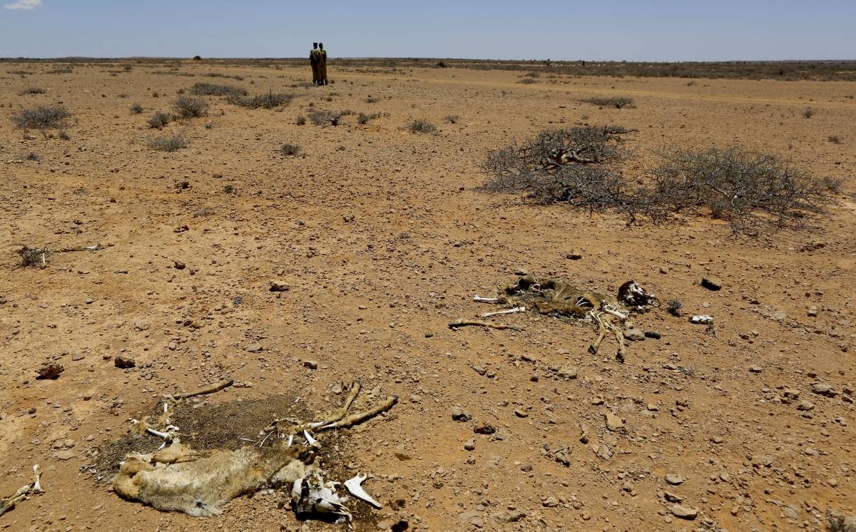 Nova humanitarna kriza u Somaliji: Milijun djece će zbog suše patiti od gladi